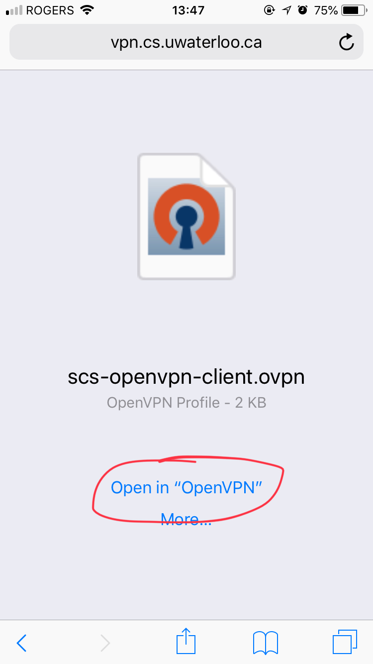 OpenVPN Config File - OpenVPN Connect